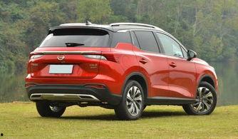 2019国产精品,匠心独运，绽放时代光彩